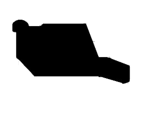 Pp1
